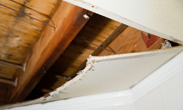 water damage...